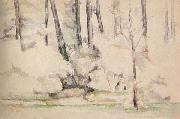 Paul Cezanne Sous-bois Sweden oil painting reproduction